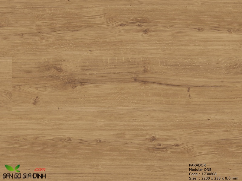 Sàn gỗ Parador Modular ONE mã 1730808