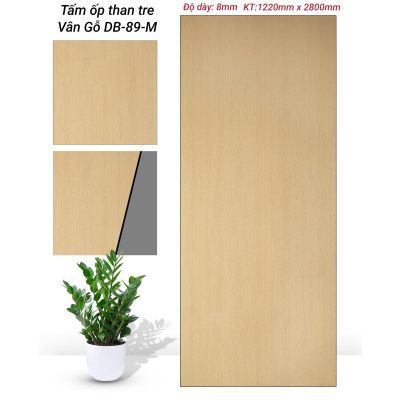 Tấm ốp tường than tre DB89-M